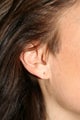 Ear Lobe Repair