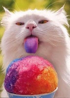 Sweetbluebubble