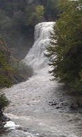 Fingerlakesmomof3