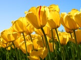 ItsMeTime2012