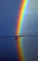 babyrainbo