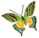 butterflies123