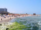 SarahTel Aviv