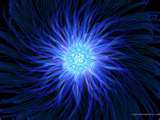 bluestar